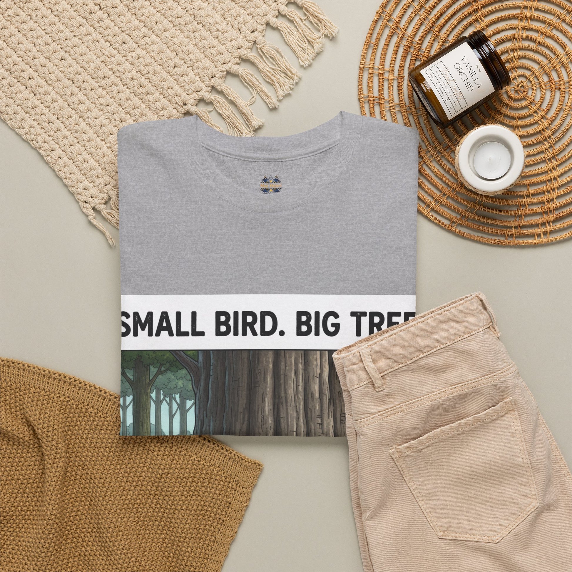 Gray T-shirt chest graphic partially visible with 'SMALL BIRD. BIG TR' text