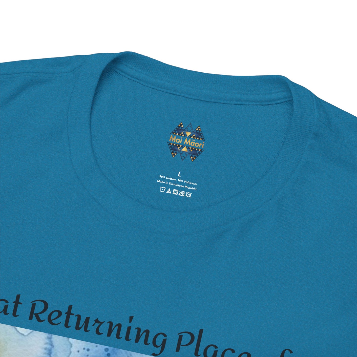 Teal T-shirt close-up of crew neck with small chest logo and size label